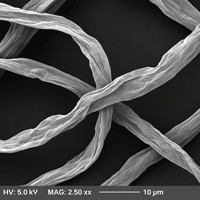 Fiber reference sample 1