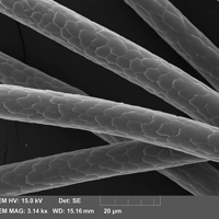 Fiber reference sample 2