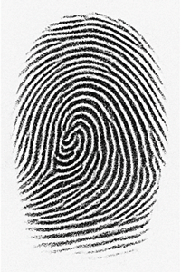 Fingerprint reference sample 2