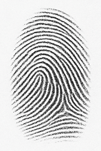 Fingerprint reference sample 3